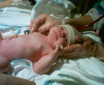 CRE00075 JPG        25,088  01-13-04  2:20a